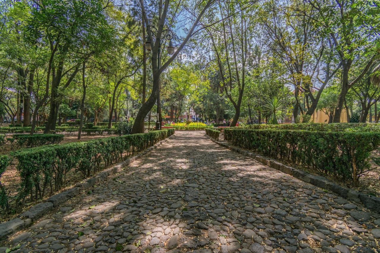 Fl 59 Coyoacan At Your Doorstep! Apartamento Cidade do México Exterior foto